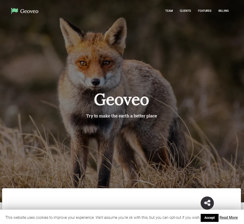 Esta web es de mentira 3 startup no